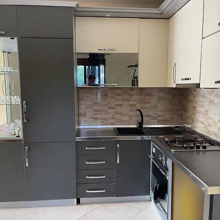 Apartman Albis *